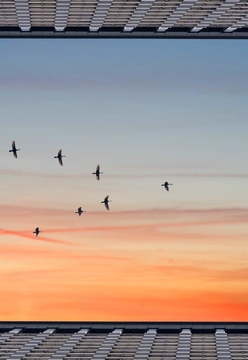 New rules for passengers entering the United Kingdom from 8 June