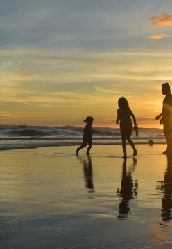 ‘Death in Paradise’: debunking adoption and inheritance rights myths in Christmas special