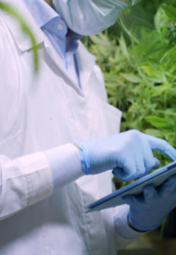 Psychedelics Regulation in the UK and EU: United Kingdom